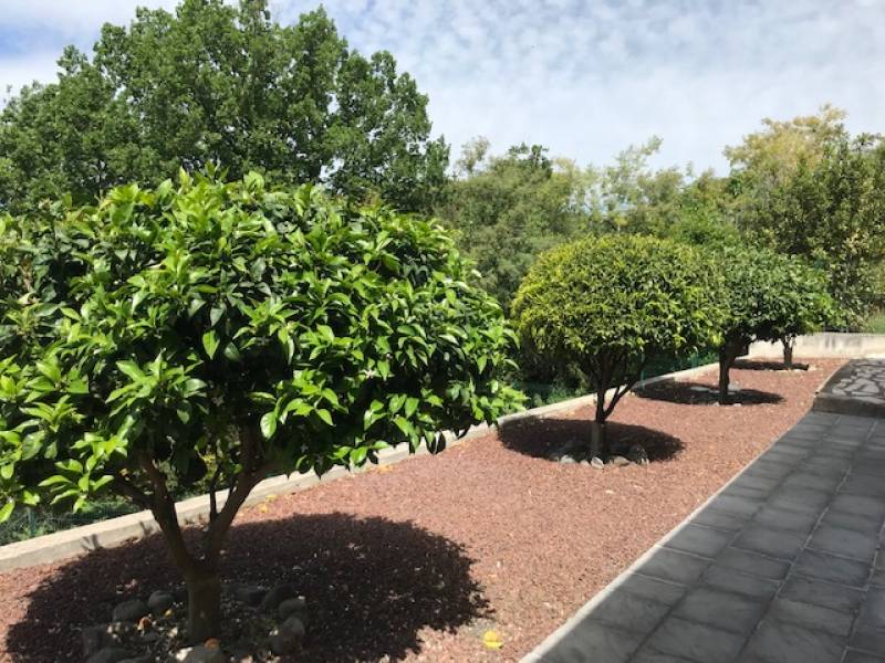 terrassement de terrain à Biot