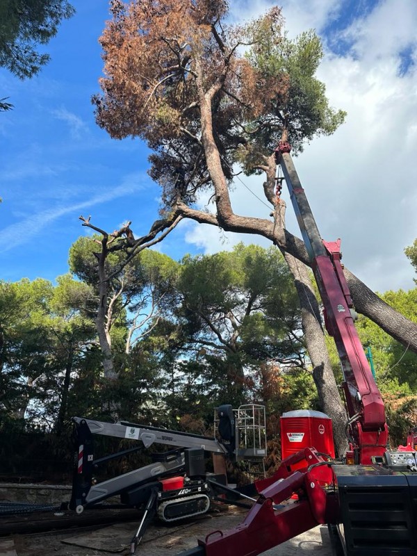 Pelle et Nacelle pour terrains difficile à Beaulieu sur Mer
