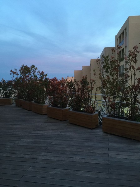 Portfolio d'Aménagement paysager par PETITJEAN Paysage