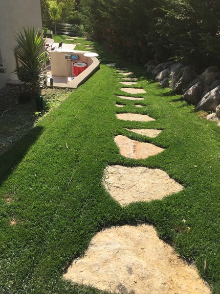 Portfolio d'Aménagement paysager par PETITJEAN Paysage