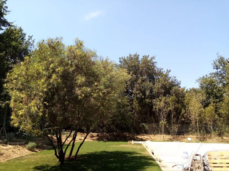 entretien de jardin à saint Tropez