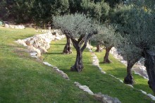 Notre zone d'activité pour ce service Paysagiste pour aménagement de tour de piscine