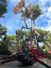 Notre zone d'activité pour ce service Création de jardin personnalisé avec cascade et éclairage extérieur