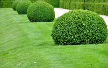 Notre zone d'activité pour ce service Paysagiste pour installation de systèmes d'irrigation et entretien de gazon pour copropriétés