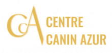 EDUCATION CANINE AVEC COURS DANS UN CENTRE CANIN AZUR À VALLAURIS près de Cannes Vallauris Alpes-Maritimes 06 Centre Canin Azur