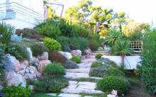 Création et entretien d'espaces verts sur la Côte d'Azur - PETITJEAN PAYSAGE